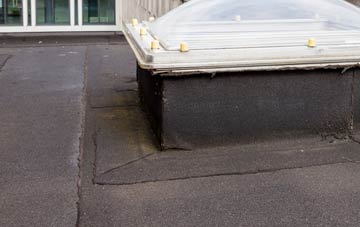 disadvantages of Mitchell flat roofs